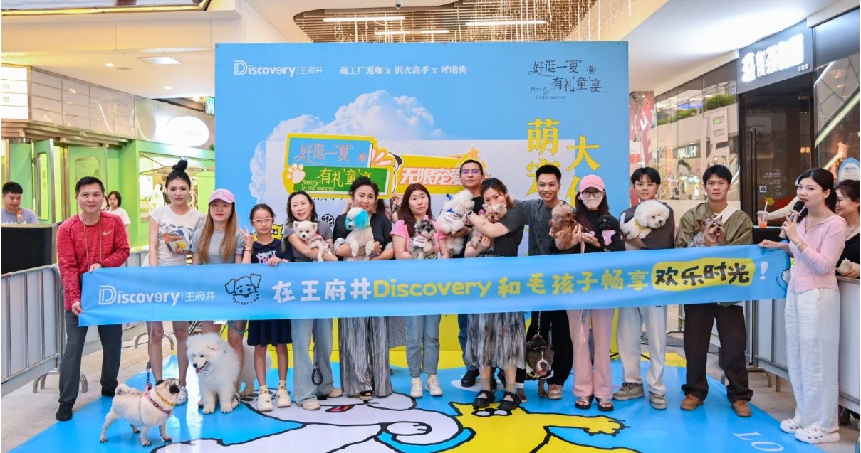 成都BBIN宝盈集团Discovery