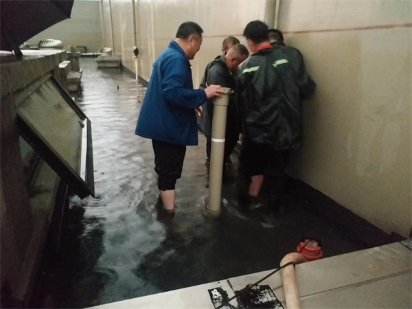 首页-BBIN宝盈集团官方网站